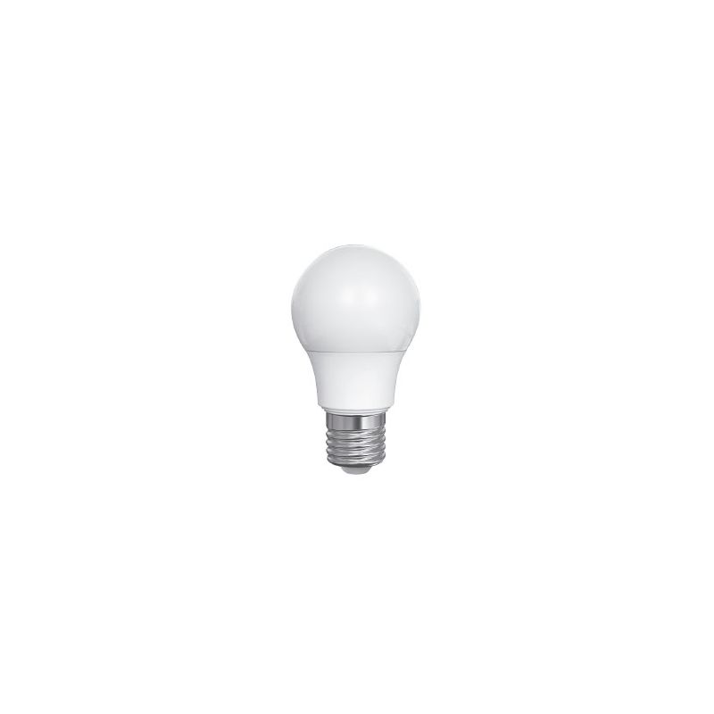 Ampoule LED E27 A55 5W 6500K 400LM