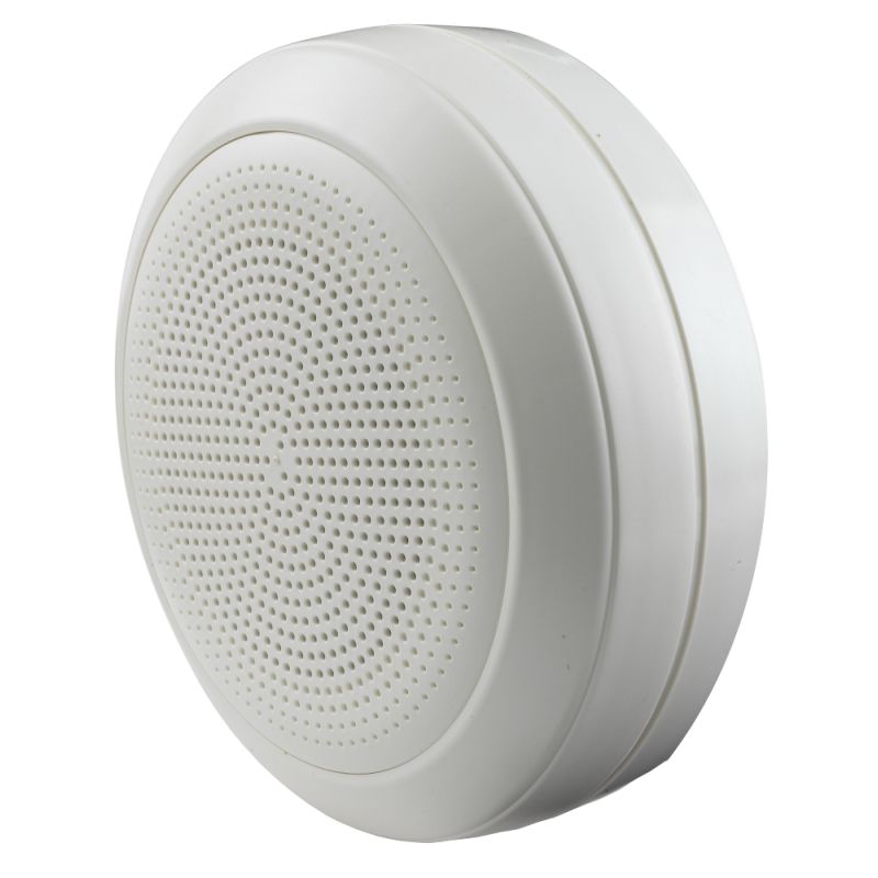 Golmar BLC-550T 6w surface diffuser