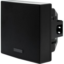 Golmar VE-S106E couple acoustic boxes