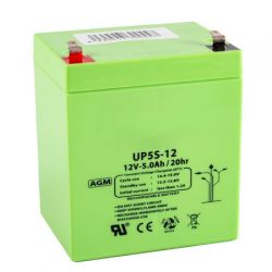 Queen Alarm SS_12V4.2AH 12V / 5 Amp battery