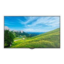 Hisense HIS-49BM66AE - Monitor HISENSE ELED 4K 49\", Válido para…