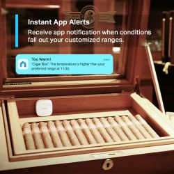 TP-Link Tapo T310 Interior Sensor de temperatura e humidade Independente Sem fios