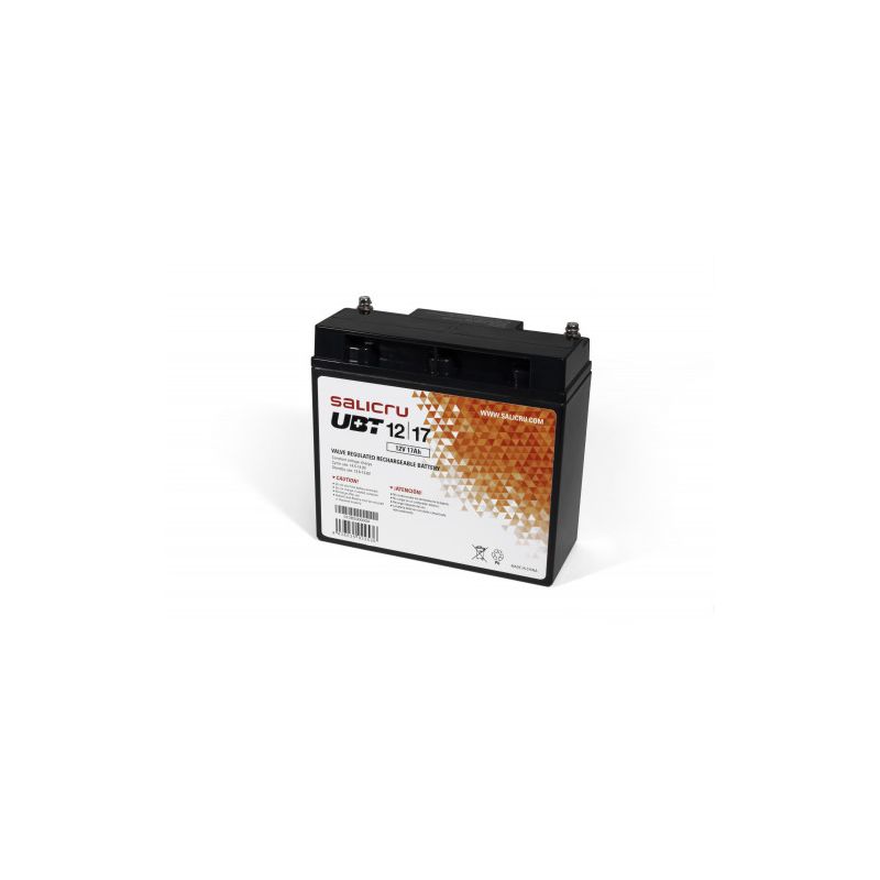 SALICRU 013BS000004 Salicru UBT series batteries are highly powerful and compact energy…