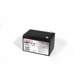 SALICRU 013BS000003 Salicru UBT series batteries are highly powerful and compact energy…