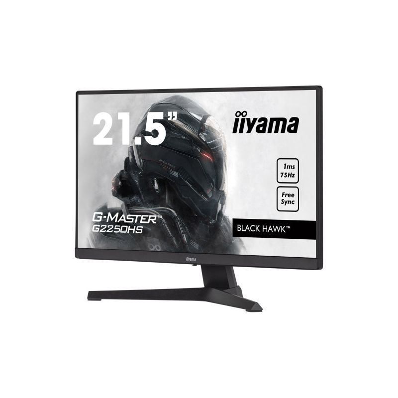 IIYAMA G2250HS-B1 iiyama G-MASTER G2250HS-B1