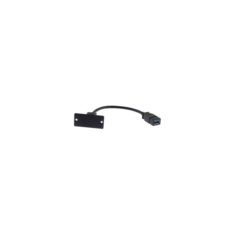 KRAMER 80-00026499 WU - Placa de parede CA com conector USB Tipo C na frente e cabo de 12 cm com…