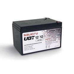 SALICRU 013AB000303 Las baterías de la serie UBT de Salicru son acumuladores de energía altamente…