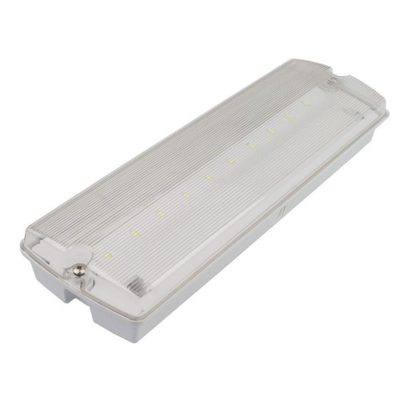 Conylux: Emergency led light IP65 100 lum.