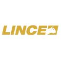 Lince